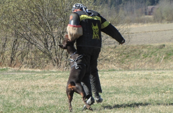 Training in Finland 5/2009