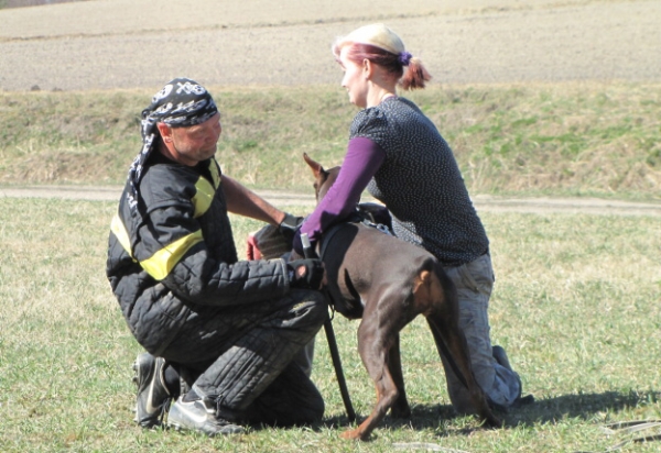 Training in Finland 5/2009