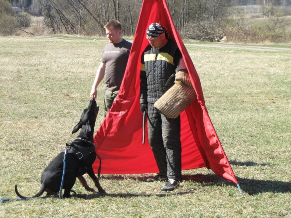 Training in Finland 5/2009