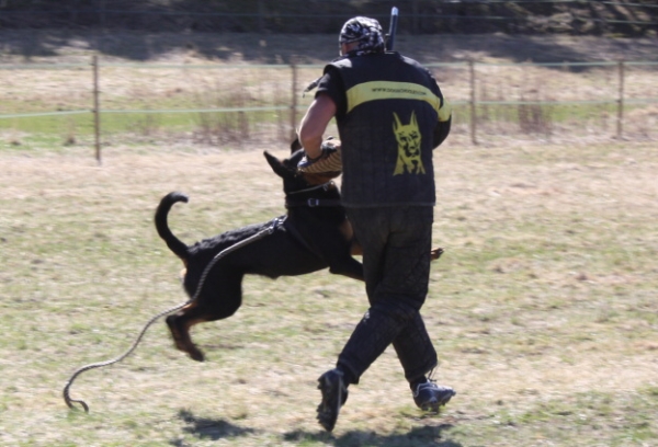 Training in Finland 5/2009