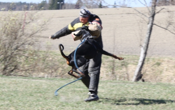 Training in Finland 5/2009