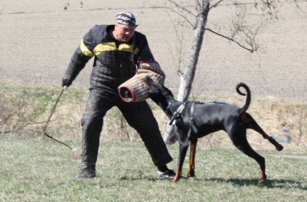 Training in Finland 5/2009