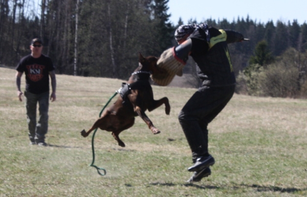 Training in Finland 5/2009