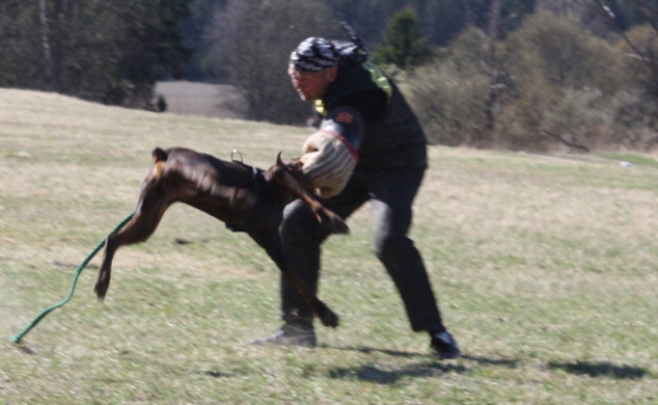 Training in Finland 5/2009