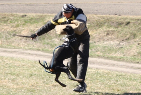 Training in Finland 5/2009