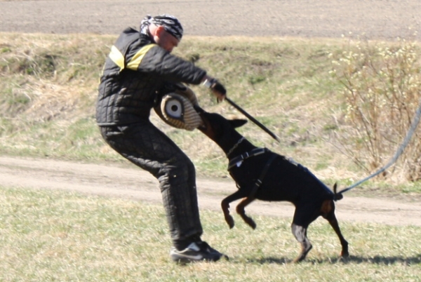 Training in Finland 5/2009