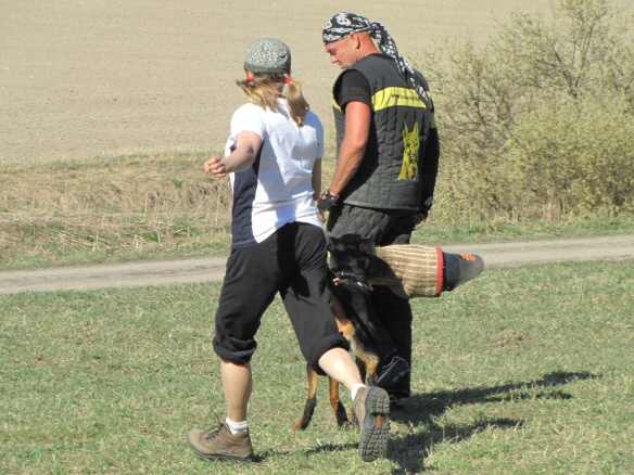 Training in Finland 5/2009