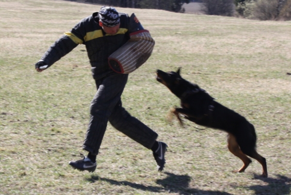 Training in Finland 5/2009