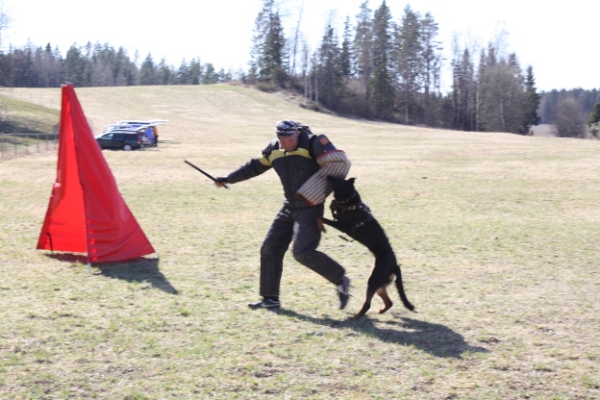 Training in Finland 5/2009