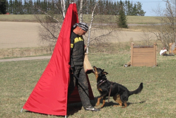 Training in Finland 5/2009