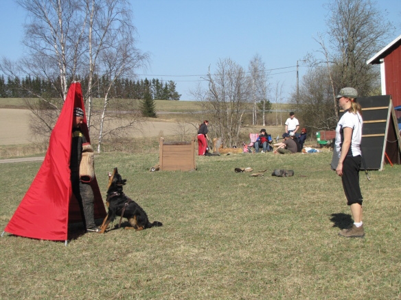 Training in Finland 5/2009