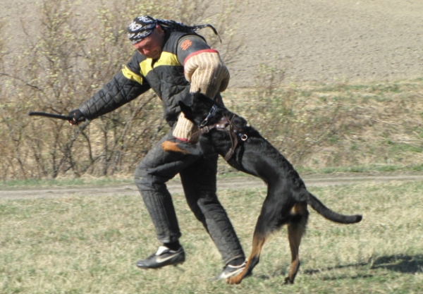 Training in Finland 5/2009