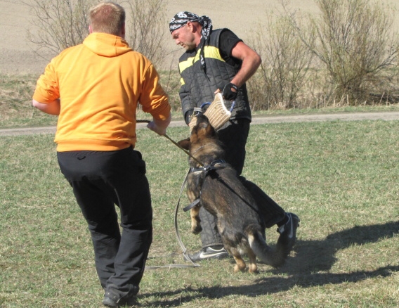 Training in Finland 5/2009