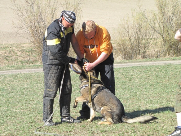 Training in Finland 5/2009