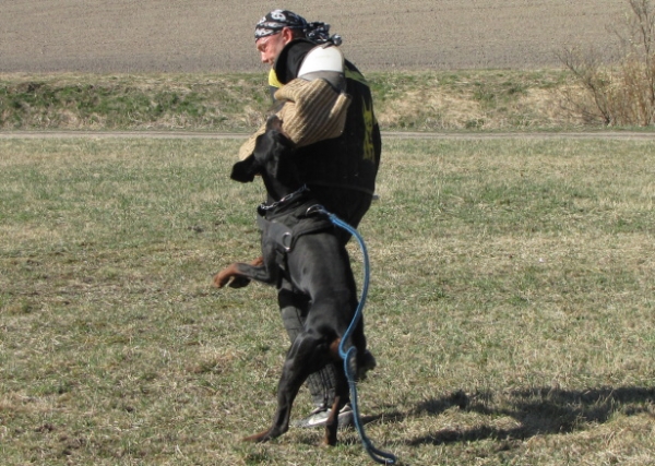 Training in Finland 5/2009