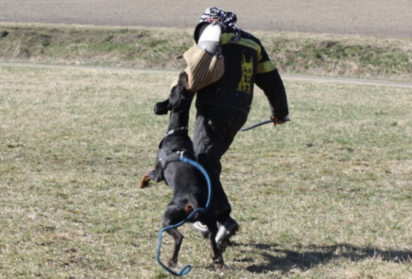 Training in Finland 5/2009