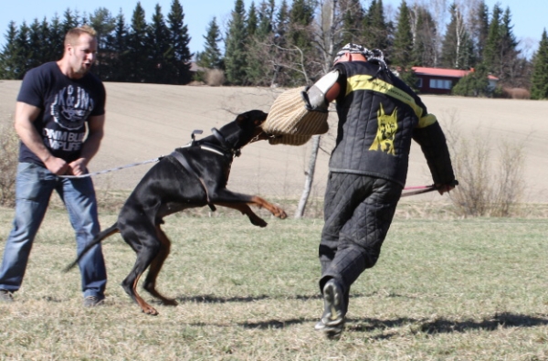 Training in Finland 5/2009