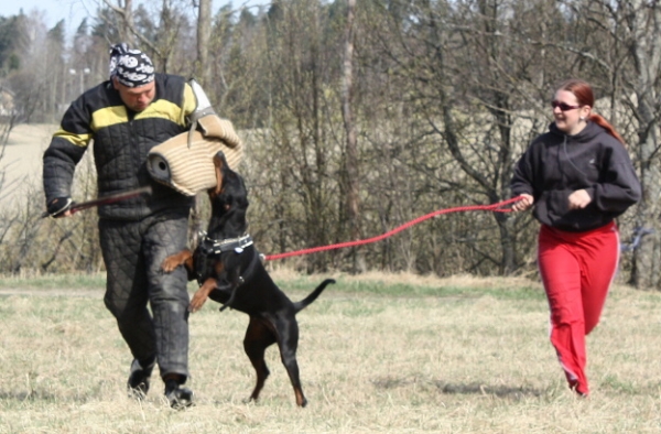 Training in Finland 5/2009