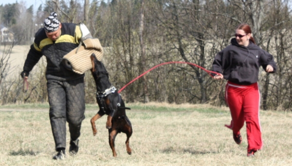 Training in Finland 5/2009