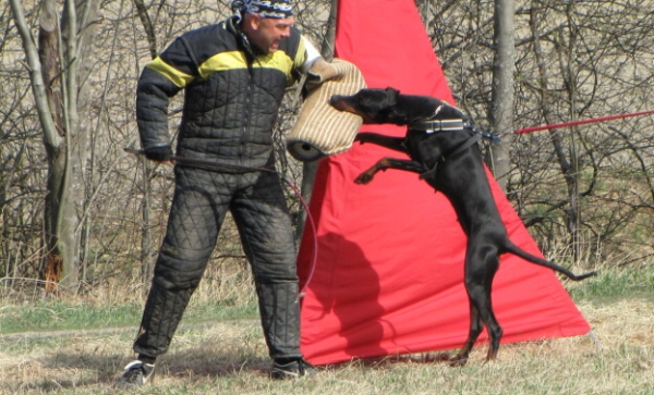 Training in Finland 5/2009