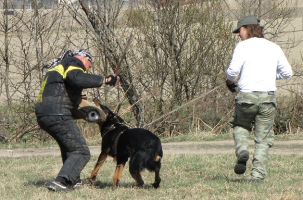 Training in Finland 5/2009