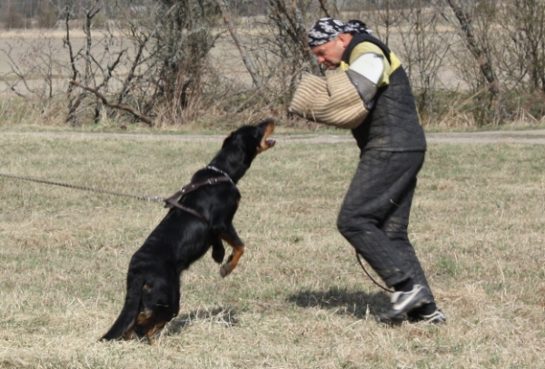 Training in Finland 5/2009