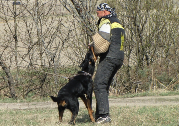 Training in Finland 5/2009