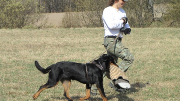 Training in Finland 5/2009