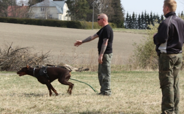 Training in Finland 5/2009