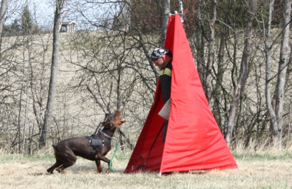 Training in Finland 5/2009