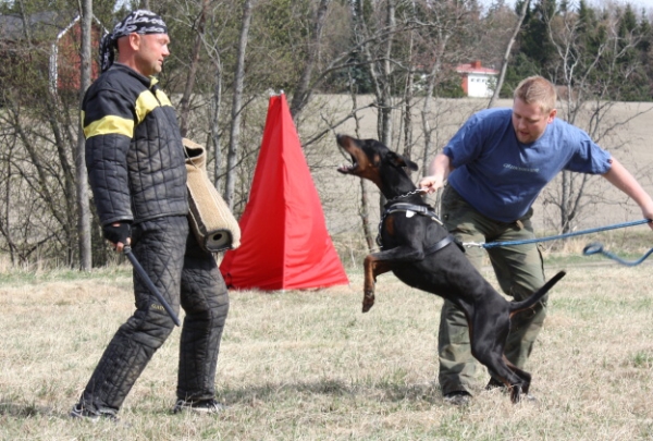 Training in Finland 5/2009