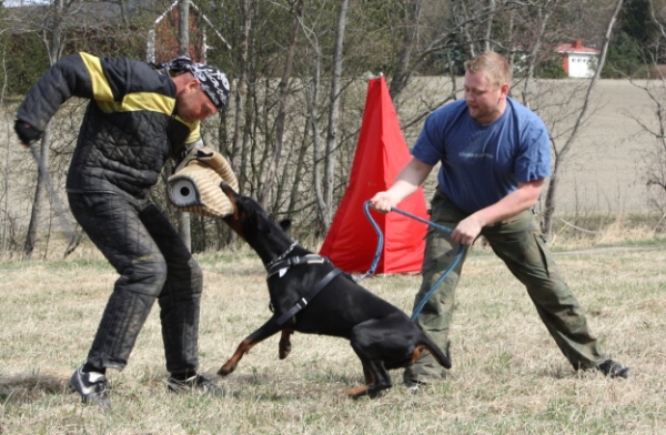 Training in Finland 5/2009