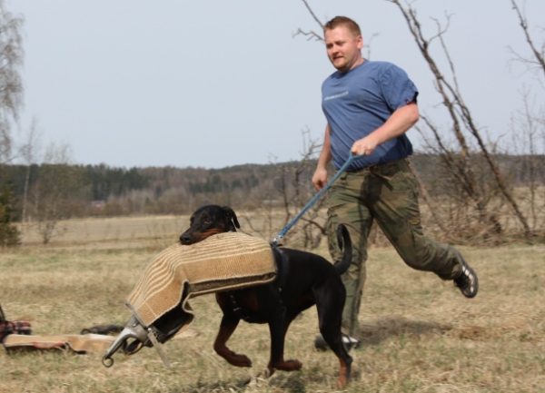 Training in Finland 5/2009