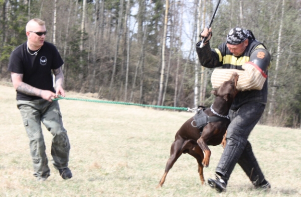 Training in Finland 5/2009