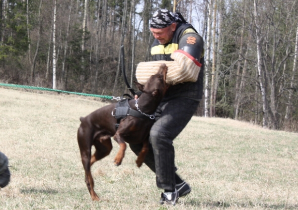 Training in Finland 5/2009