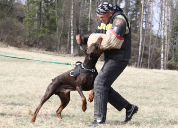 Training in Finland 5/2009