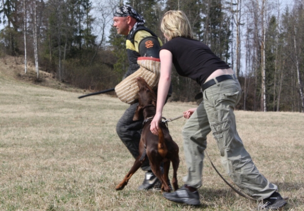 Training in Finland 5/2009