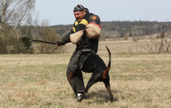 Training in Finland 5/2009