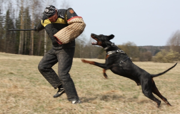 Training in Finland 5/2009