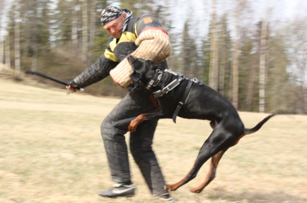 Training in Finland 5/2009