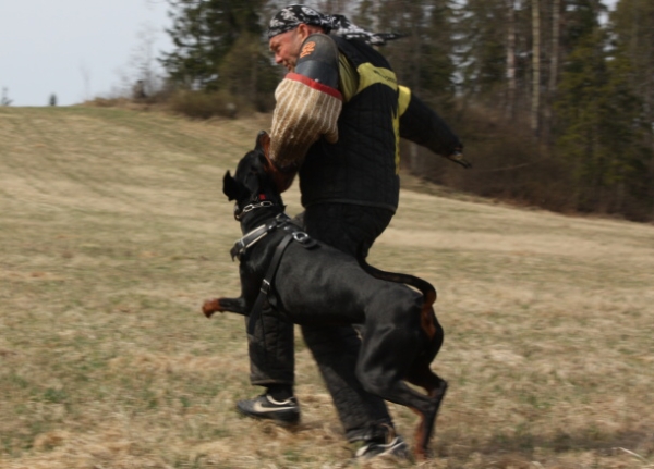 Training in Finland 5/2009