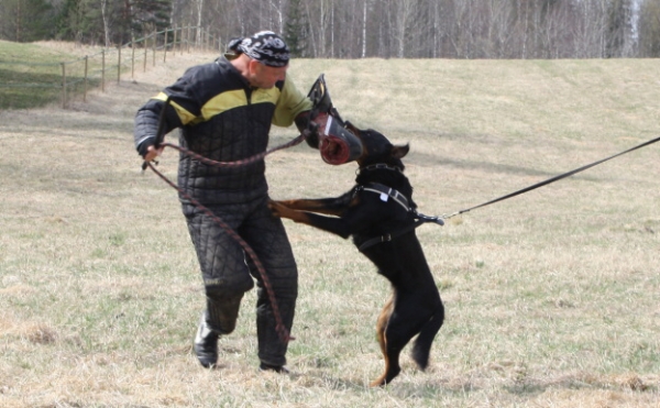 Training in Finland 5/2009