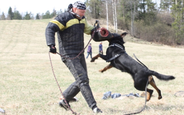 Training in Finland 5/2009