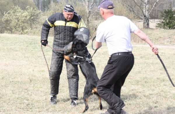 Training in Finland 5/2009