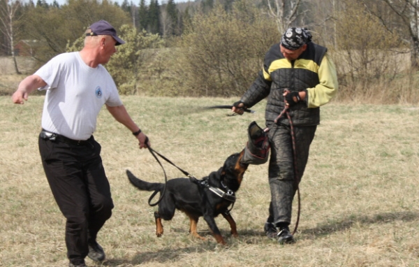 Training in Finland 5/2009