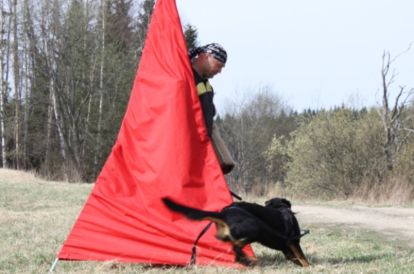 Training in Finland 5/2009