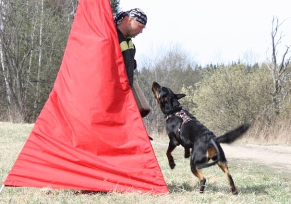 Training in Finland 5/2009