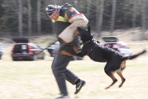 Training in Finland 5/2009