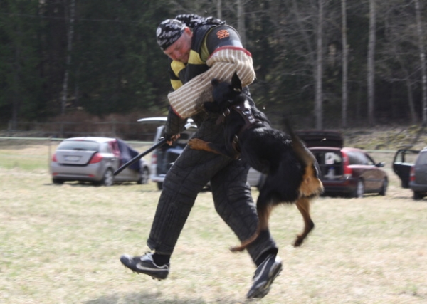 Training in Finland 5/2009