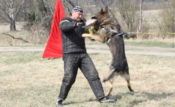 Training in Finland 5/2009